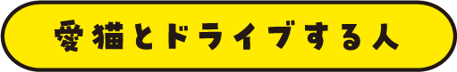 愛猫とドライブする人